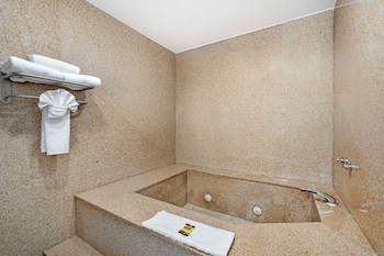 Standard Room, 1 King Bed, Non Smoking, Jetted Tub (with Sofabed)