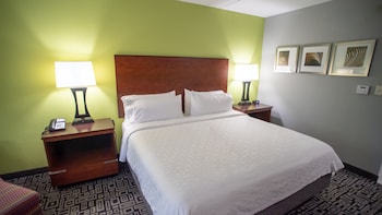 Standard Room, 1 King Bed with Sofa bed