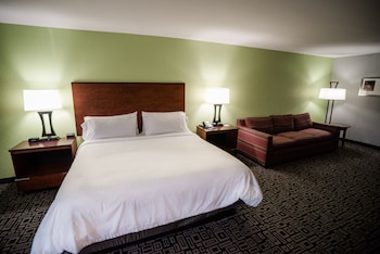 Standard Room, 1 King Bed with Sofa bed