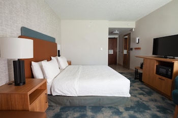 Room, 1 King Bed, Accessible, Non Smoking