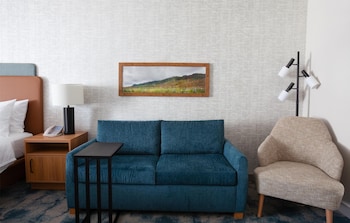 Suite, 1 King Bed, Refrigerator