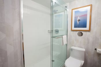 Studio, 1 King Bed, Accessible, Non Smoking