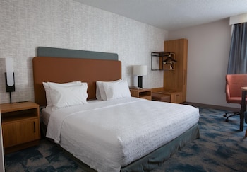 Room, 1 King Bed, Accessible Bathtub, Non Smoking