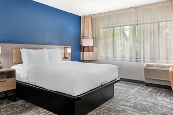 Standard Room, 1 King Bed, Non Smoking