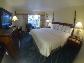 Traditional Room, 1 King Bed