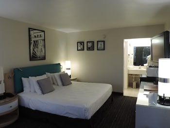 Traditional Room, 1 King Bed