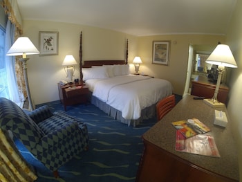 Traditional Room, 1 King Bed