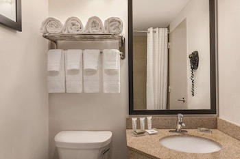 Premium Room, 1 King Bed, Accessible, Non Smoking (Roll-in Shower)