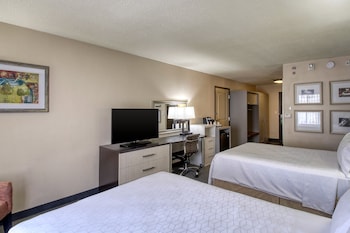 Suite, 1 Bedroom