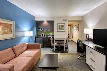 Suite, 1 Bedroom