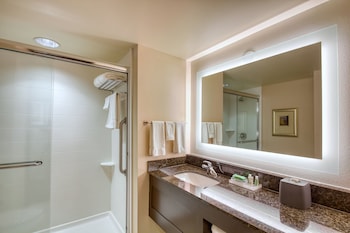 Standard Room, 1 Twin Bed, Roll-in Shower (Communications, Roll-In Shower)