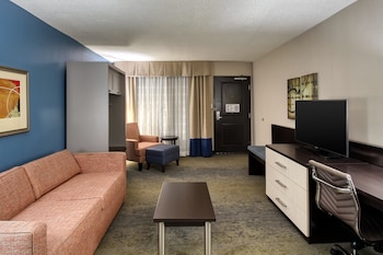 Suite, 1 King Bed (Additional Living Area)