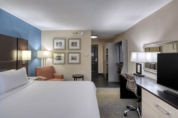 Standard Room, 1 King Bed