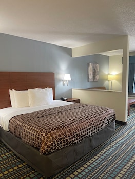 Suite, 1 King Bed, Non Smoking, Refrigerator & Microwave (with Sofabed)