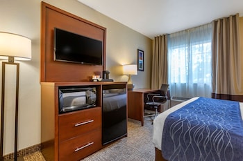 Standard Room, 1 King Bed, Non Smoking
