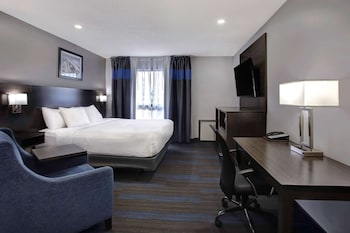 Room, 1 King Bed, Non Smoking (First Floor, Parking Lot Access)
