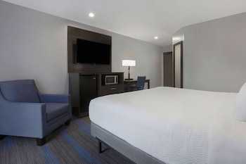 Room, 1 King Bed, Accessible, Non Smoking (Bathtub w/Grab Bars)