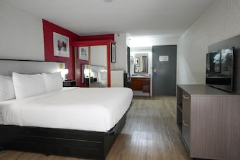 Room, 1 King Bed, Non Smoking