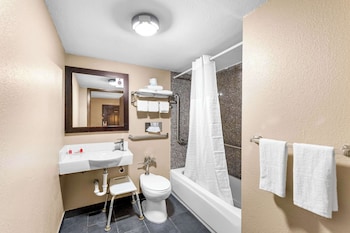 Room, 1 Queen Bed, Accessible, Smoking