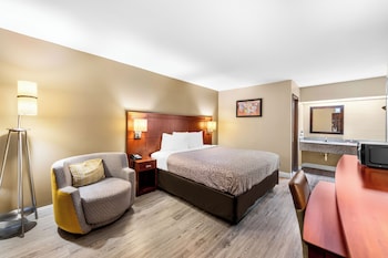 Standard Room, 1 King Bed, Non Smoking