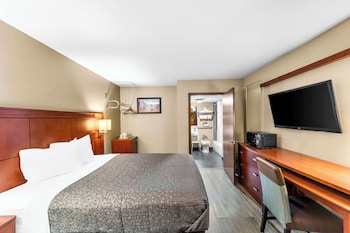 Room, 1 Queen Bed, Accessible, Smoking