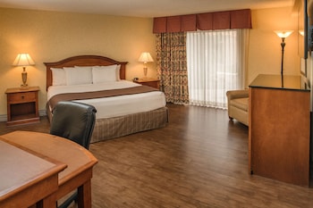 Economy Room, 1 King Bed