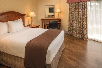 Room, 1 Queen Bed, Tower