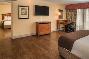 Room, 1 King Bed, Accessible, Non Smoking