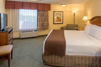 Economy Room, 1 King Bed