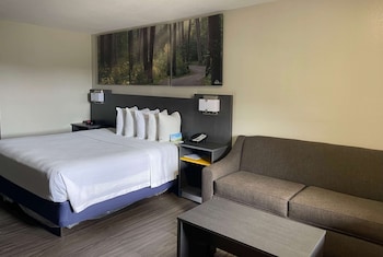 Room, 1 King Bed, Accessible, Non Smoking (Mobility, Tub w/ Grab Bars)