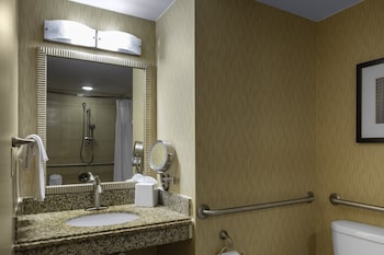 Standard Room, 1 King Bed, Accessible Bathtub (Communications, Mobility)