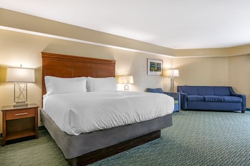 Standard Room, 1 King Bed with Sofa bed
