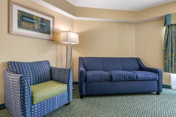 Standard Room, 1 King Bed with Sofa bed