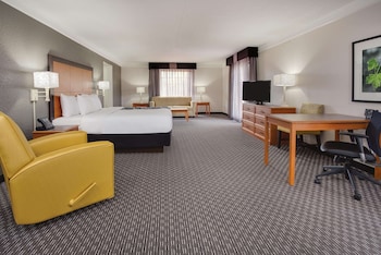 Superior Room, 1 King Bed, Non Smoking