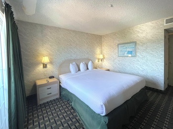 Standard King Suite
