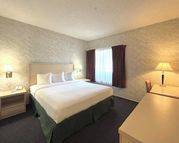 Standard King Suite Accessible