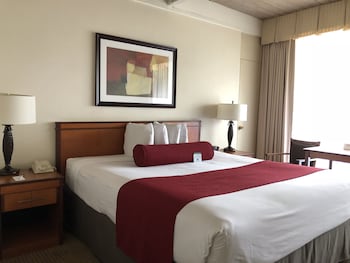 Standard Suite, 1 King Bed