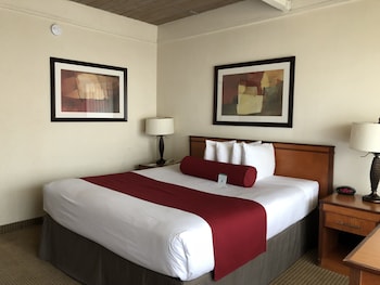 Standard Suite, 1 King Bed