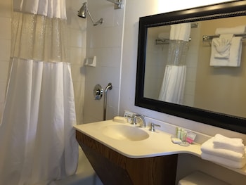 Standard Room, 1 Queen Bed (Mobility Roll-in Shower)