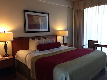 Standard Suite, 1 King Bed