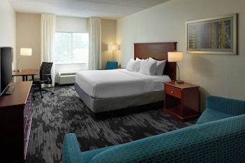 Room, 1 King Bed with Sofa bed