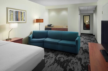 Room, 1 King Bed with Sofa bed