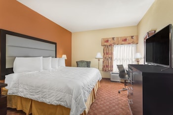 Room, 1 King Bed, Accessible, Non Smoking