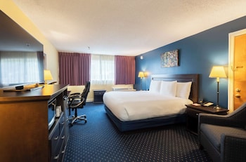 Traditional Room, 1 King Bed