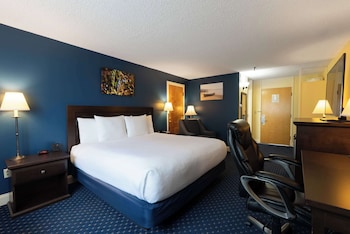 Traditional Room, 1 King Bed
