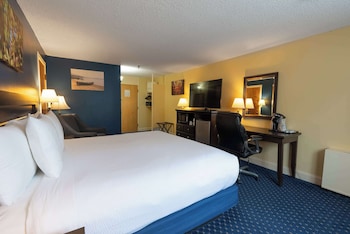 Traditional Room, 1 King Bed