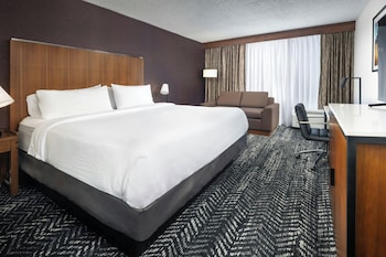 Room, 1 King Bed