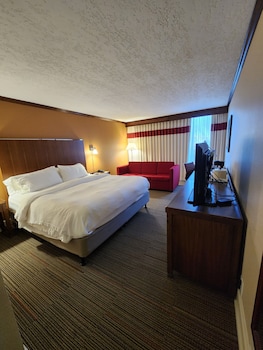 Room, 1 King Bed