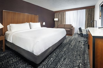 Room, 1 King Bed