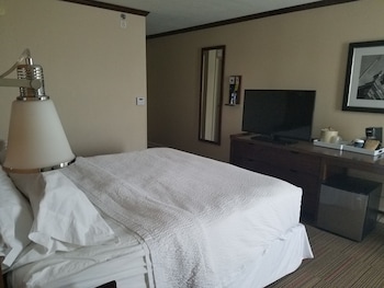 Room, 1 Queen Bed